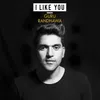 About I Like You Song